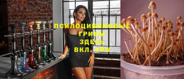 a pvp Няндома