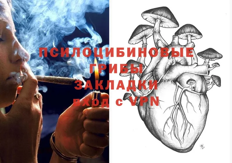 Псилоцибиновые грибы Magic Shrooms  mega вход  Боготол 